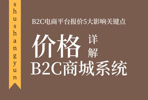 b2c商城系统开发价格详解,b2c电商平台报价5大影响关键点