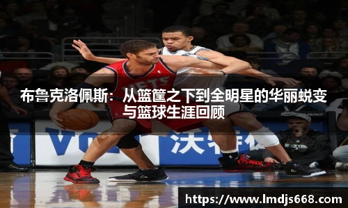 完美体育登录入口